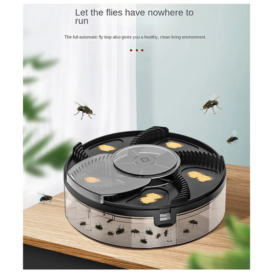 Fly Trap